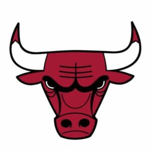 Group logo of Chicago Bulls