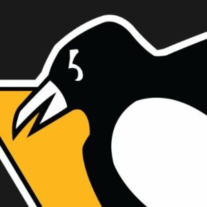 Group logo of Pittsburgh Penguins