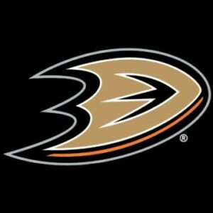 Group logo of Anaheim Ducks